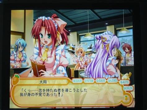 Bishōjo game .